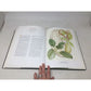 A Hawaiian Florilegium: Botanical Portraits from Paradise unbranded  A+ Stuff Vintage Books