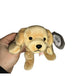 1998 Fetch the Golden Retriever Beanie Baby TY Beanie Baby  A+ Stuff Plush Toys / Stuffed Animals