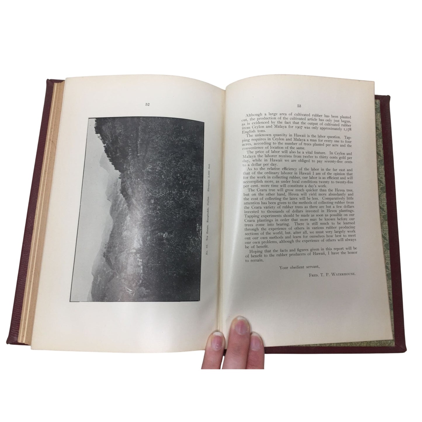 Marston Campbell - Fifth Report Board Agric & For 1908 Antique Hardcover Book