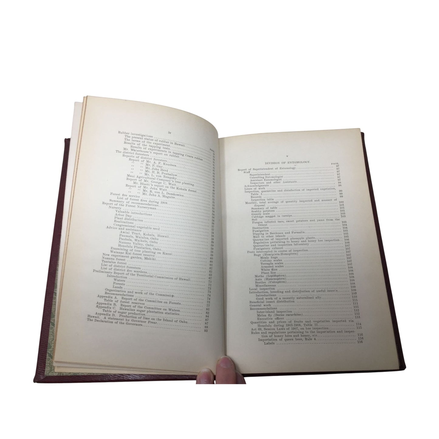 Marston Campbell - Fifth Report Board Agric & For 1908 Antique Hardcover Book