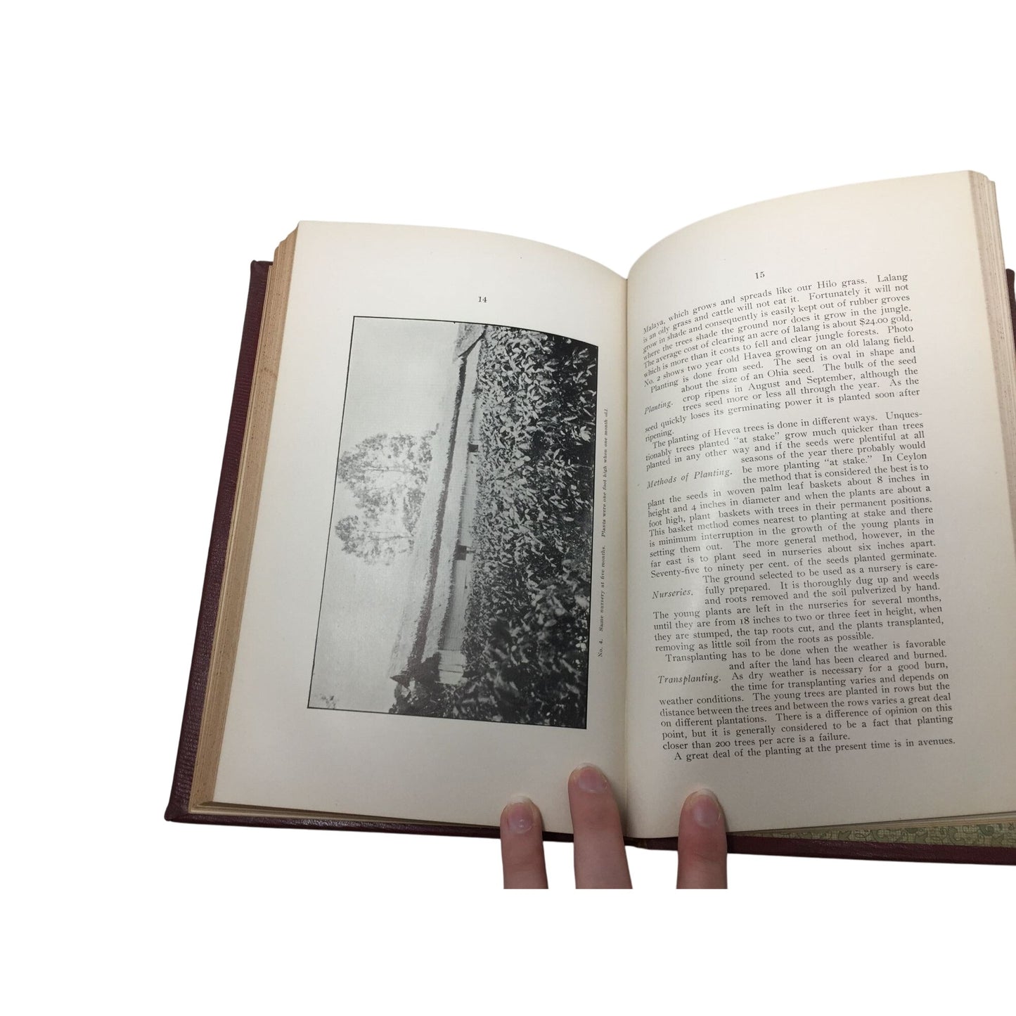 Marston Campbell - Fifth Report Board Agric & For 1908 Antique Hardcover Book