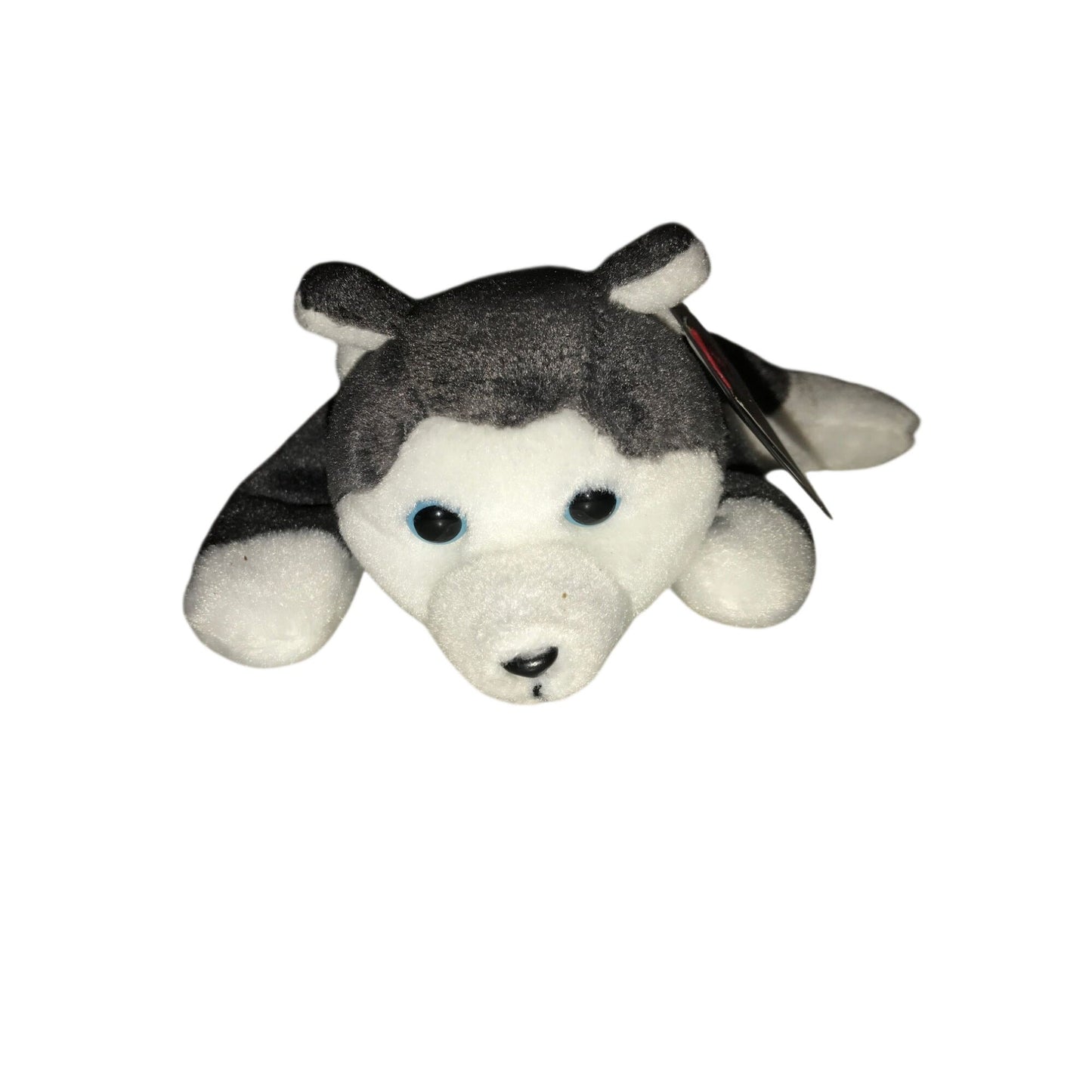1996 Nanook the Husky beanie baby TY Beanie Baby  A+ Stuff Plush Toys / Stuffed Animals