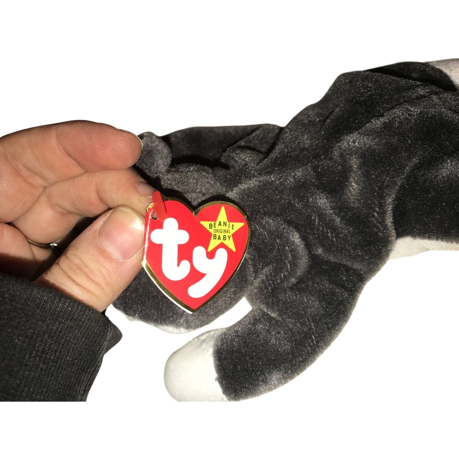 1996 Nanook the Husky beanie baby TY Beanie Baby  A+ Stuff Plush Toys / Stuffed Animals