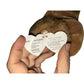 1996 Roary the Lion TY Beanie Baby TY Beanie Baby  A+ Stuff Plush Toys / Stuffed Animals