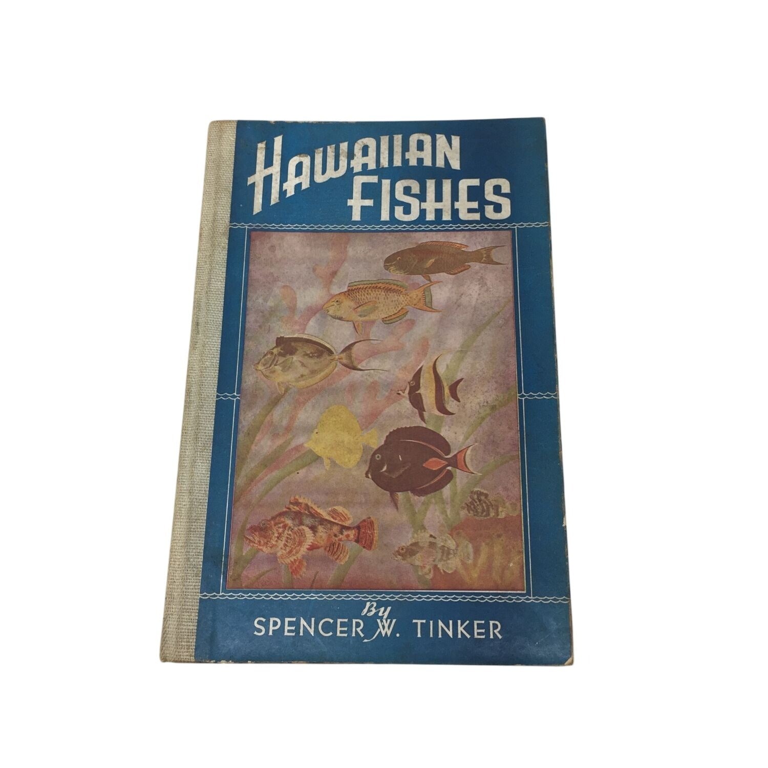 Collectible Vintage Book Titled Hawaiian Fishes unbranded  A+ Stuff Vintage Books
