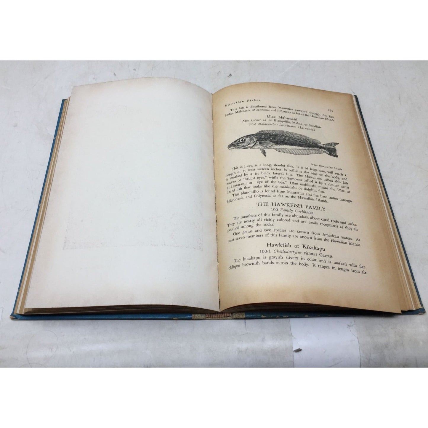 Collectible Vintage Book Titled Hawaiian Fishes unbranded  A+ Stuff Vintage Books