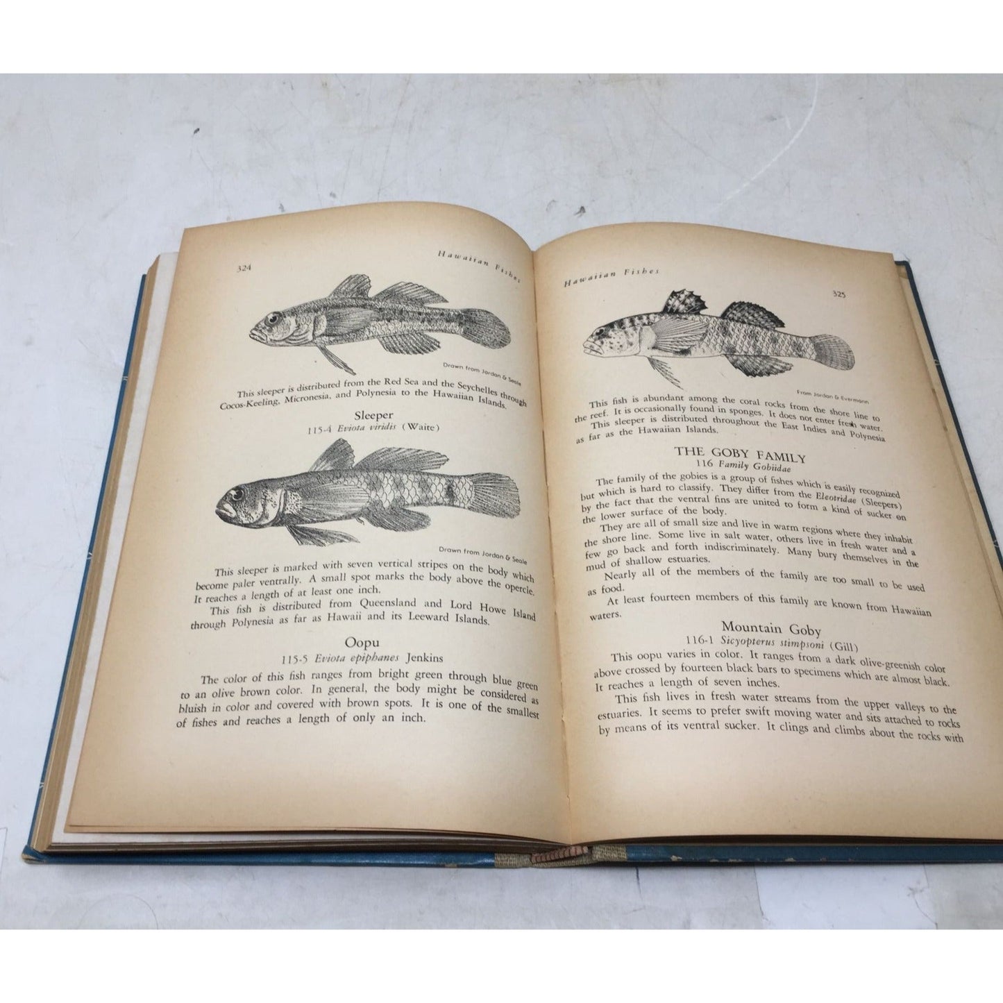 Collectible Vintage Book Titled Hawaiian Fishes unbranded  A+ Stuff Vintage Books