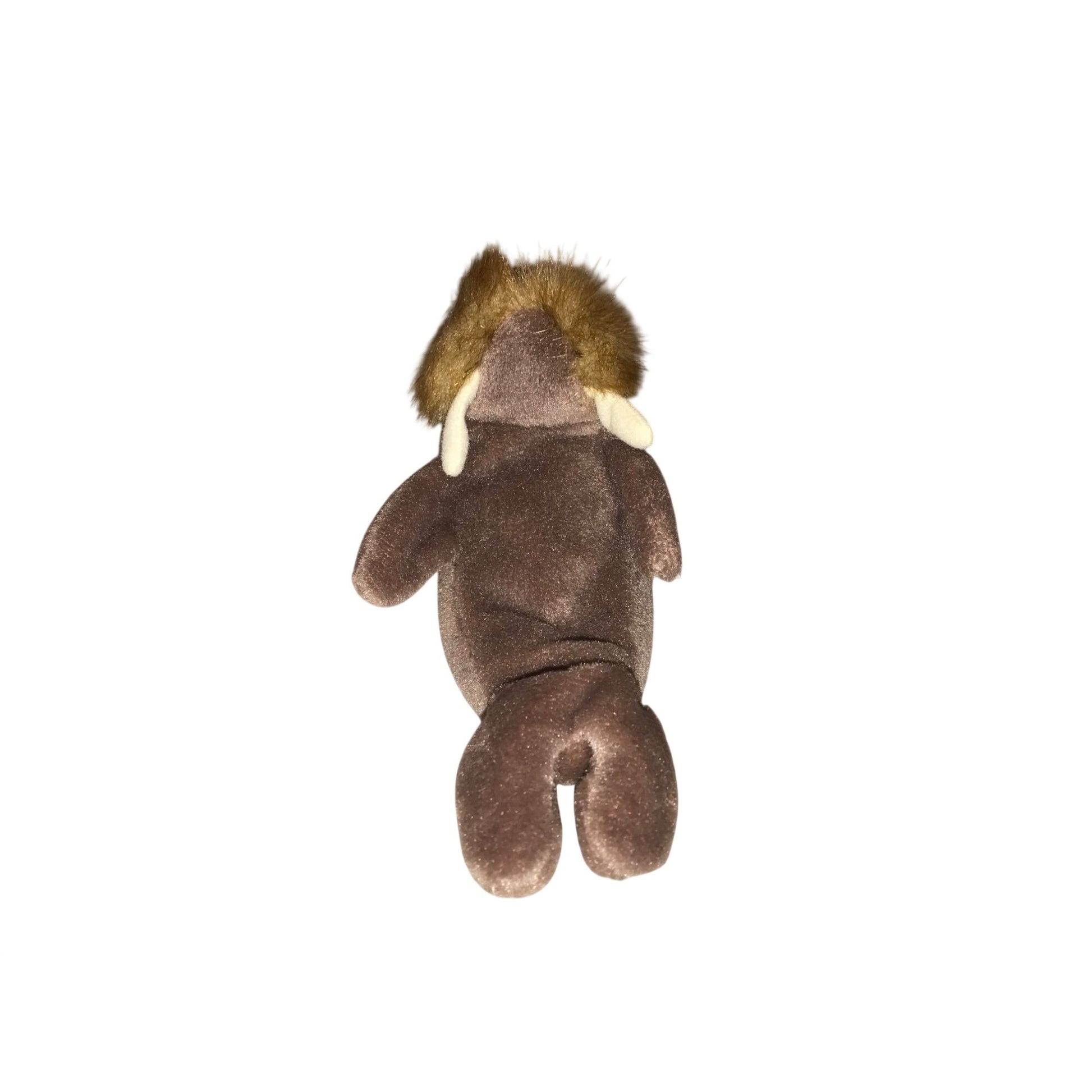Vintage 1996 Jolly the Walrus Beanie Baby TY Beanie Baby  A+ Stuff Plush Toys / Stuffed Animals