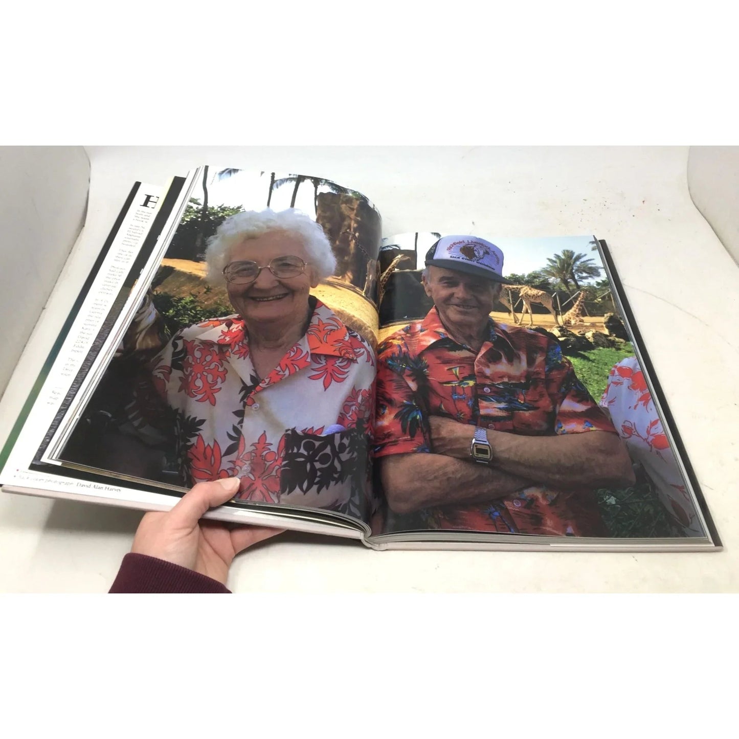 'A Day in the Life of Hawaii' Hardcover Book - unbranded - Books - A+ Stuff