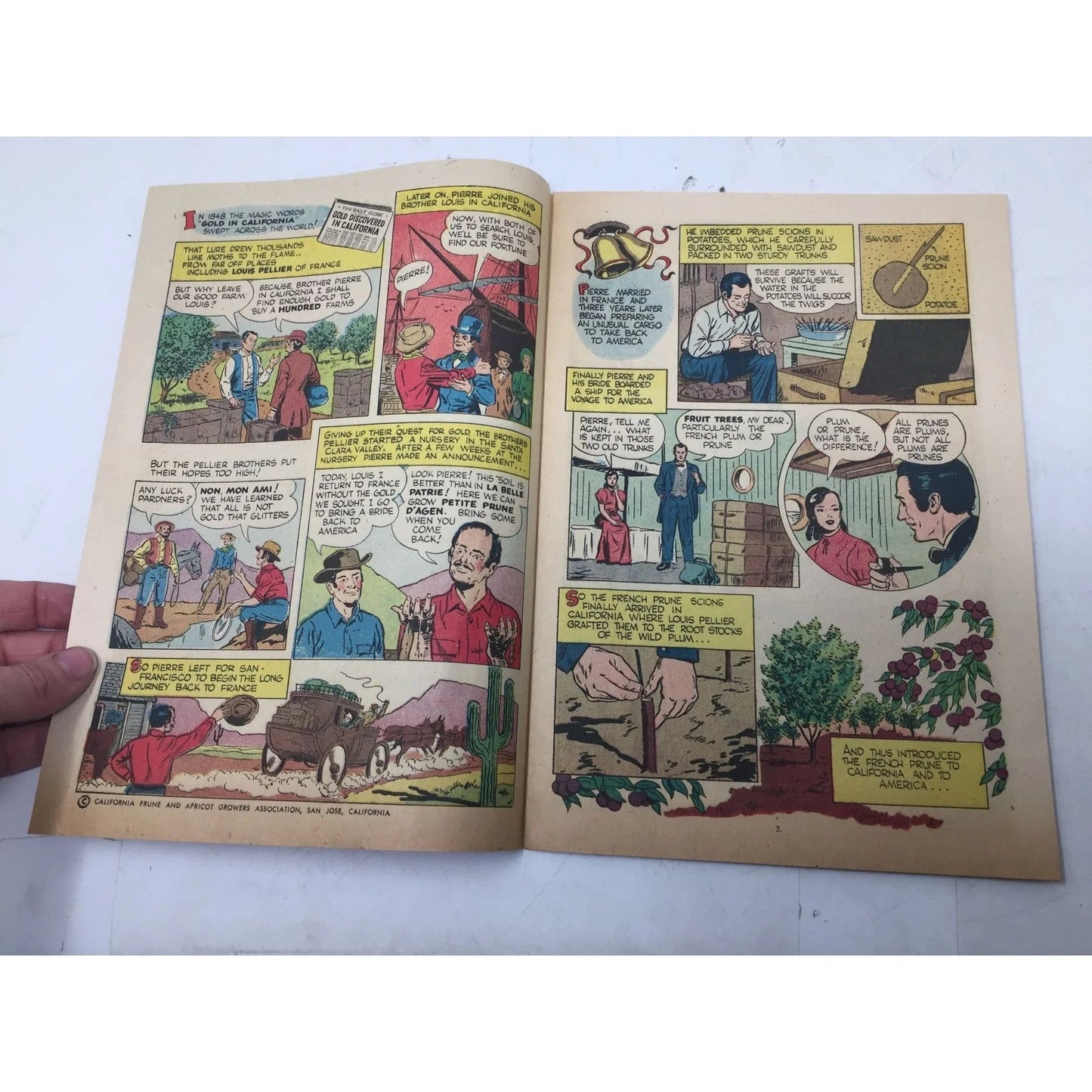 ''A Fortune In Two Old Trunks'' Vintage Paperback Comic Book - A+ Stuff - Books - A+ Stuff