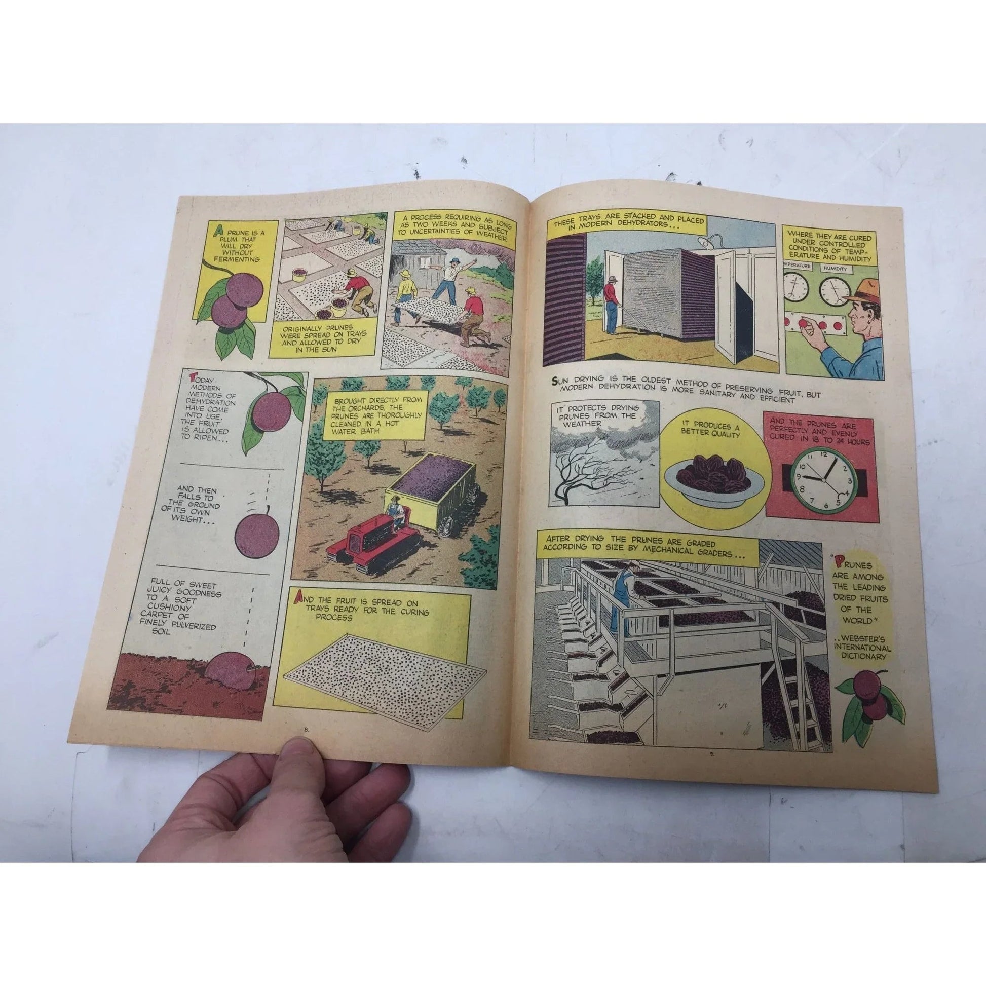 ''A Fortune In Two Old Trunks'' Vintage Paperback Comic Book - A+ Stuff - Books - A+ Stuff