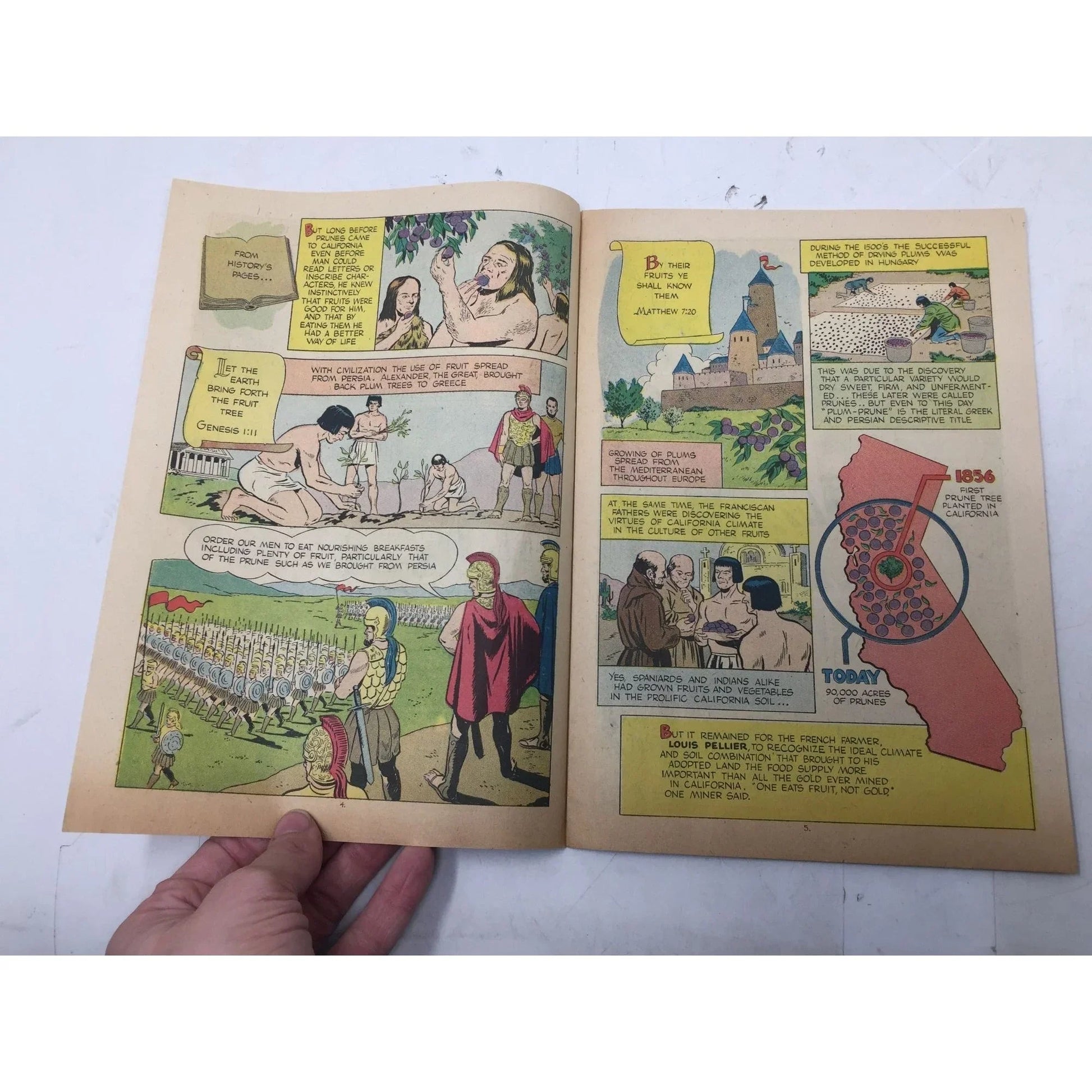 ''A Fortune In Two Old Trunks'' Vintage Paperback Comic Book - A+ Stuff - Books - A+ Stuff