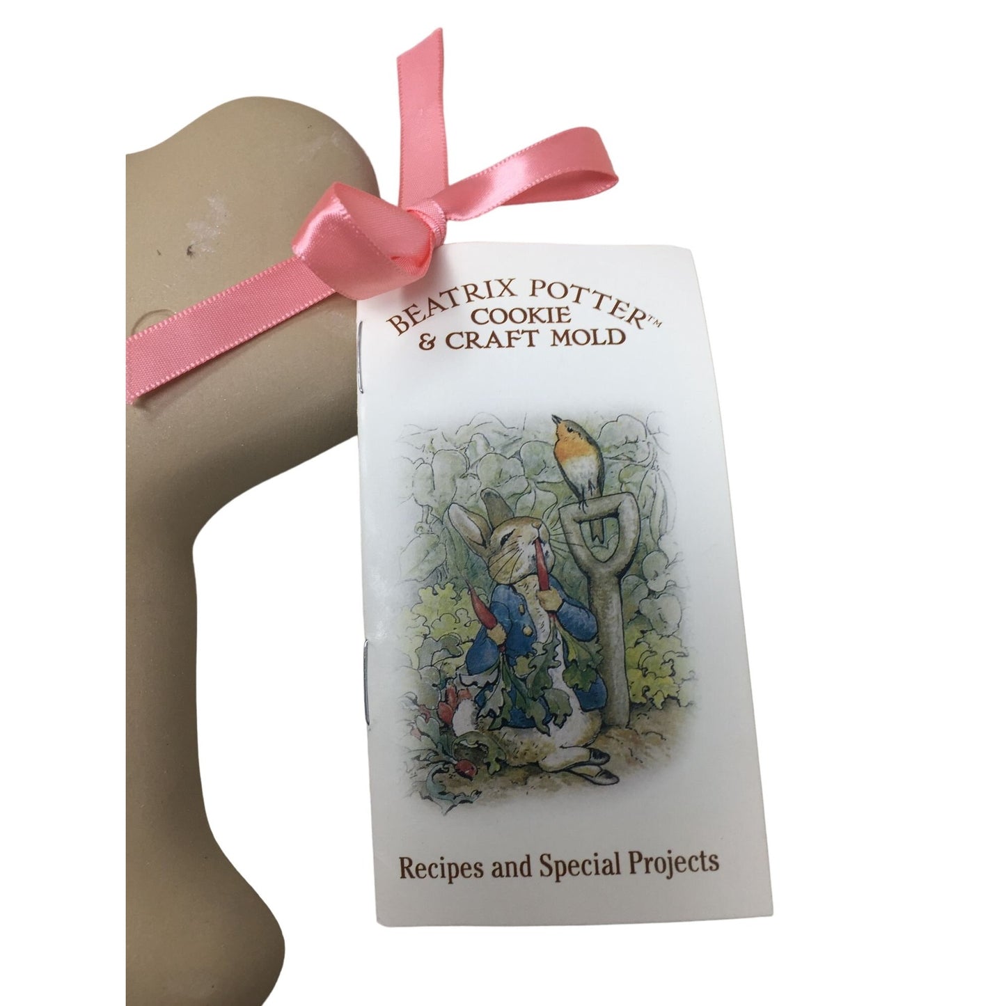 Beatrix Potter Cookie & Craft Mold/The Tale of Jemma Puddle Duck book