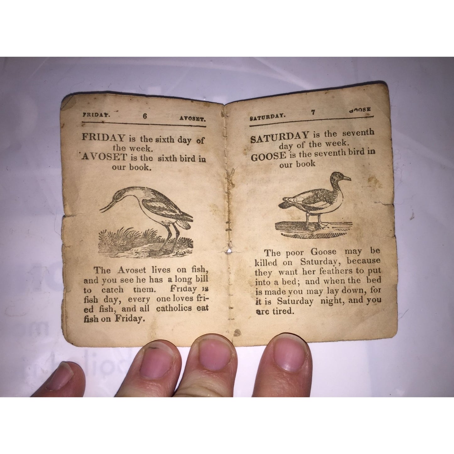 Little Franks Almanack to Show Little Boys and Girls Their Play Days Antique Booklet