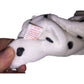 The Beanie Babies Collection TY Plush Dog named "Dotty"