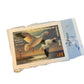 Vintage Collectible Migratory Bird Hunting & Conservation Stamps