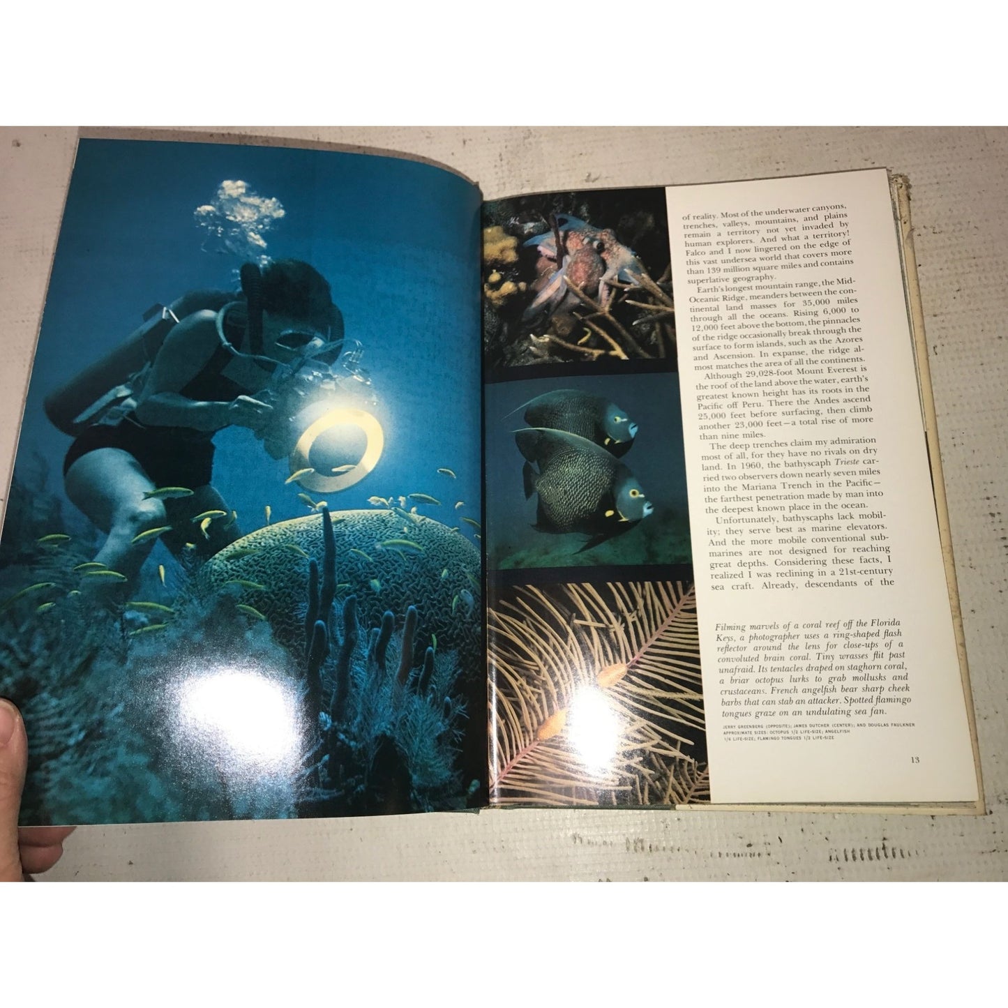 World Beneath the Sea by James Dugan Book