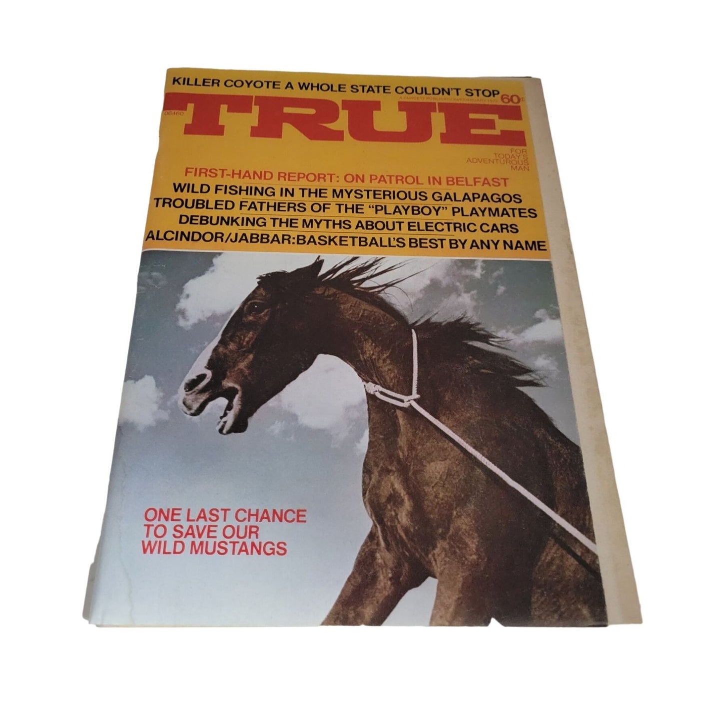 Vintage Feb. 1972 True Magazine - One Last Chance to Save Our Mustangs