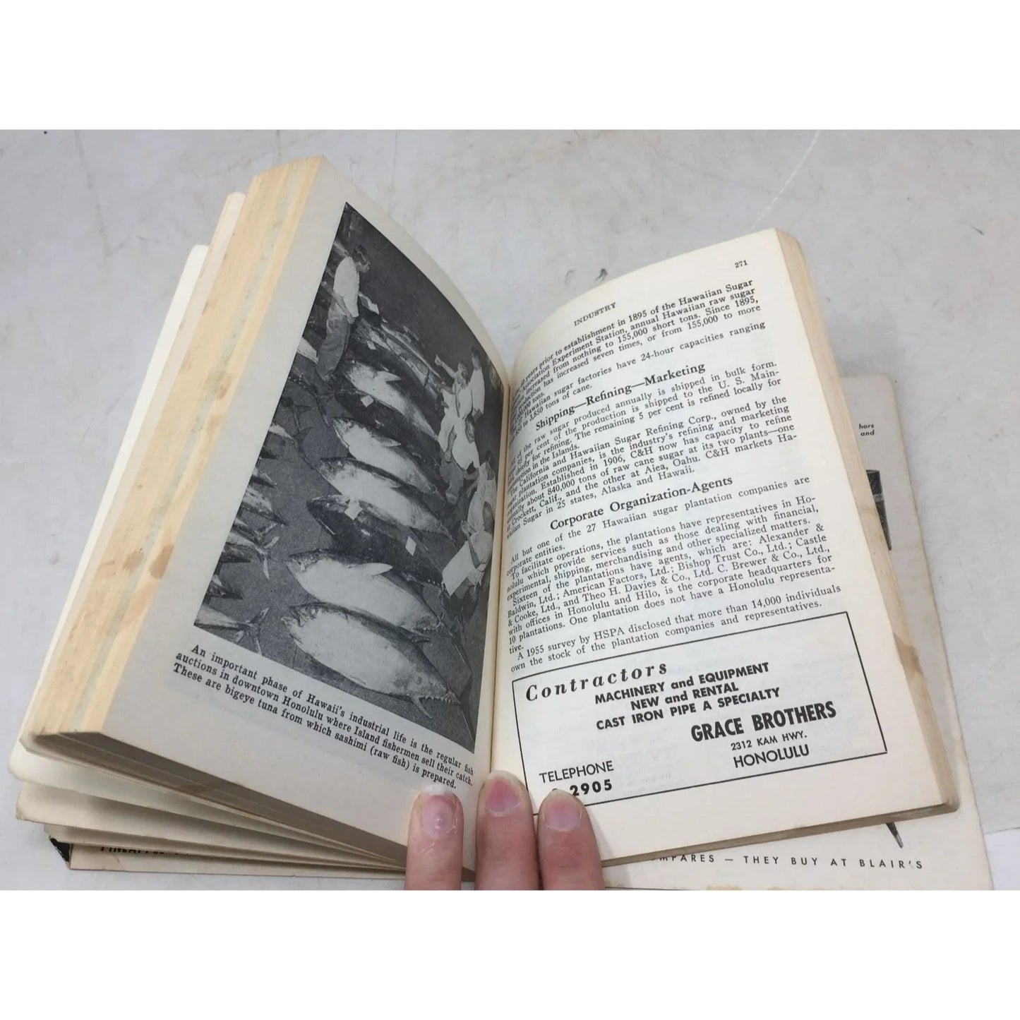 All About Hawaii paperback book - A+ Stuff - Books - A+ Stuff