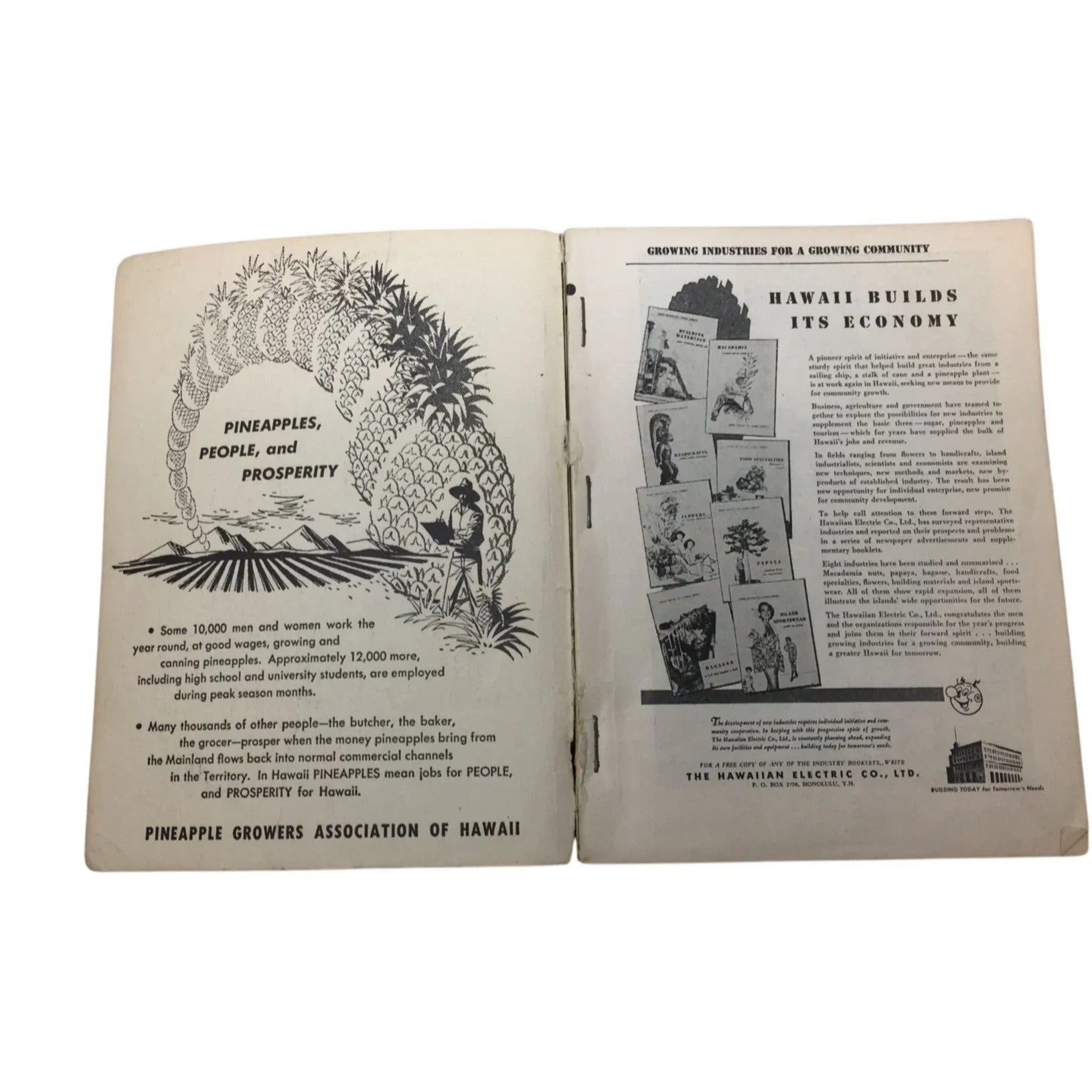 ''ALL ABOUT HAWAII - THRUM'S HAWAIIAN ANNUAL'' - A+ Stuff - books - A+ Stuff