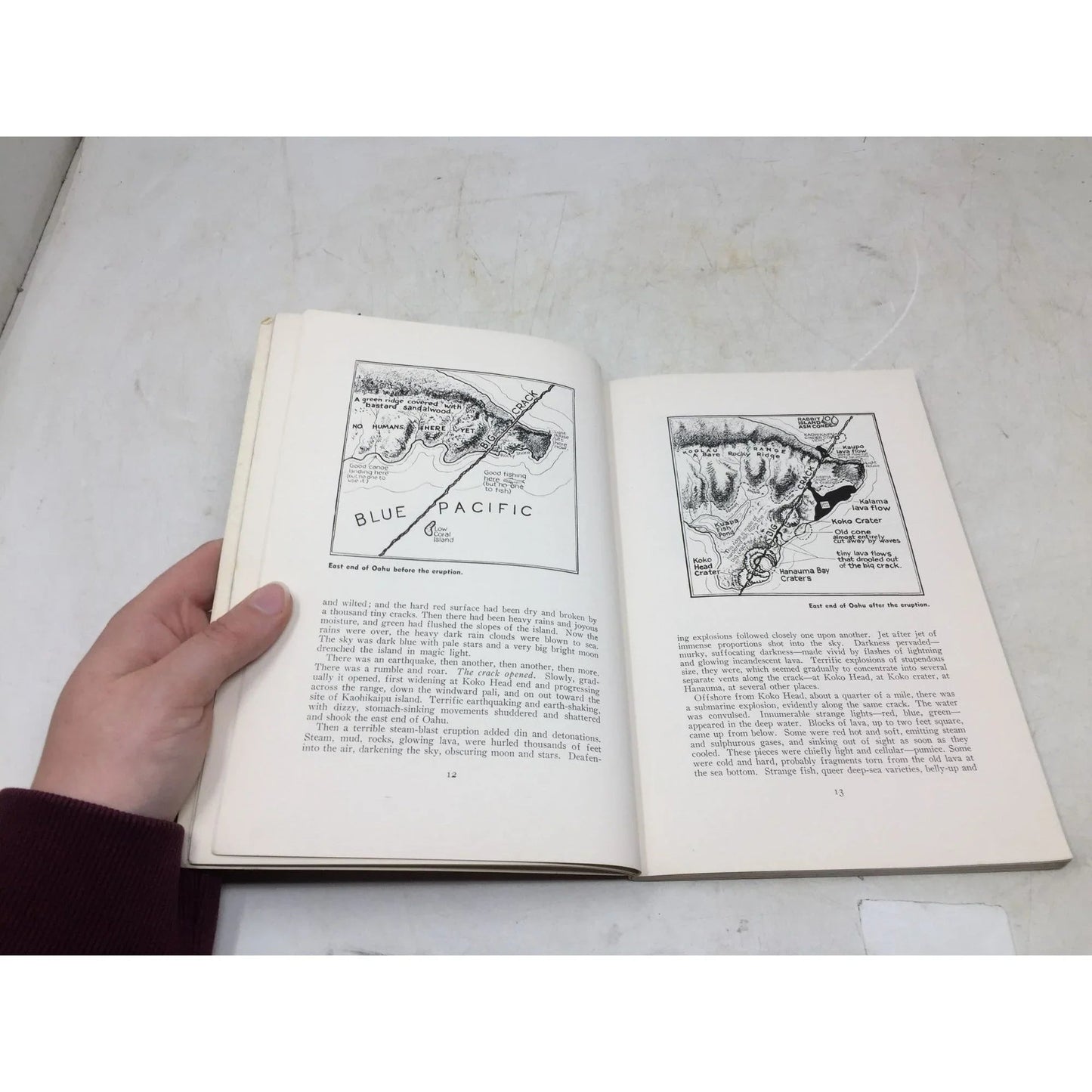 An Island is Born by Norah D. Stearns - A+ Stuff - Books - A+ Stuff