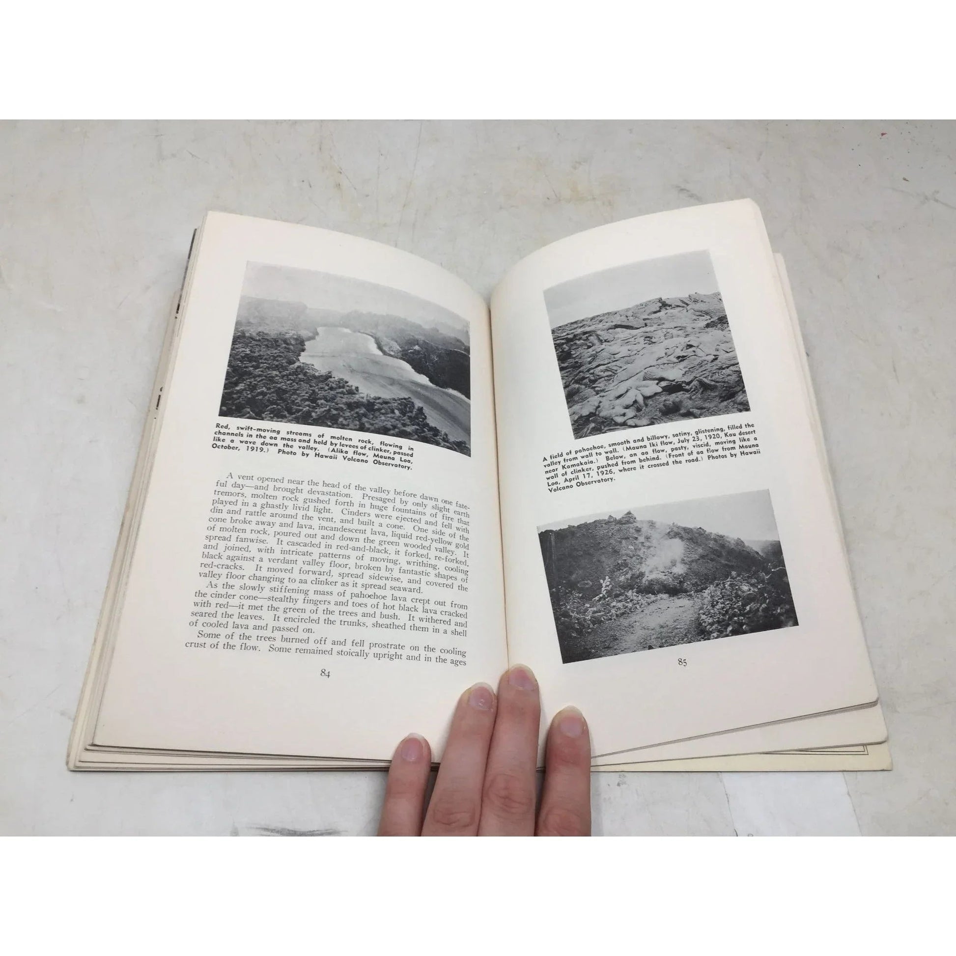 An Island is Born by Norah D. Stearns - A+ Stuff - Books - A+ Stuff