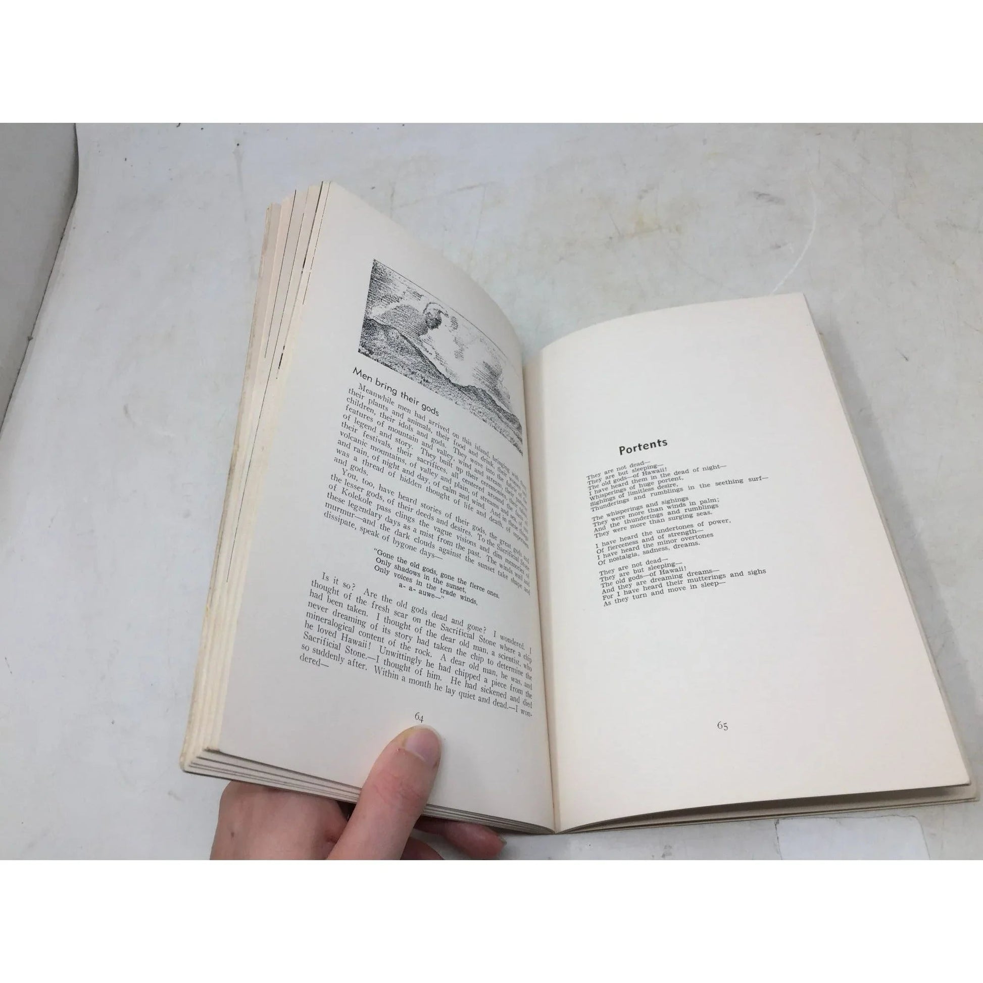 An Island is Born by Norah D. Stearns - A+ Stuff - Books - A+ Stuff