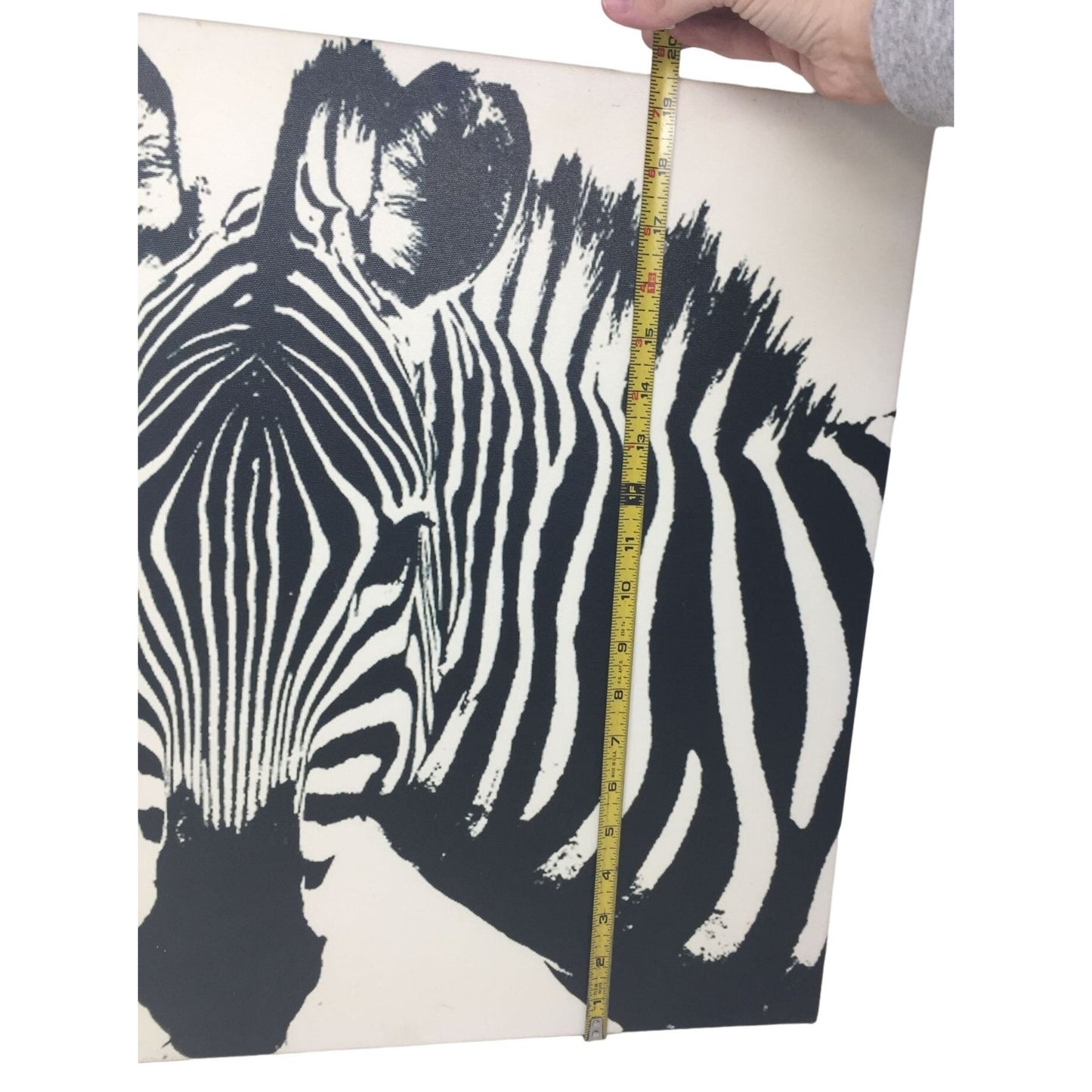 Fun Zebra Canvas Print 19.5" x 19.5" (Square) - Bold Art Piece