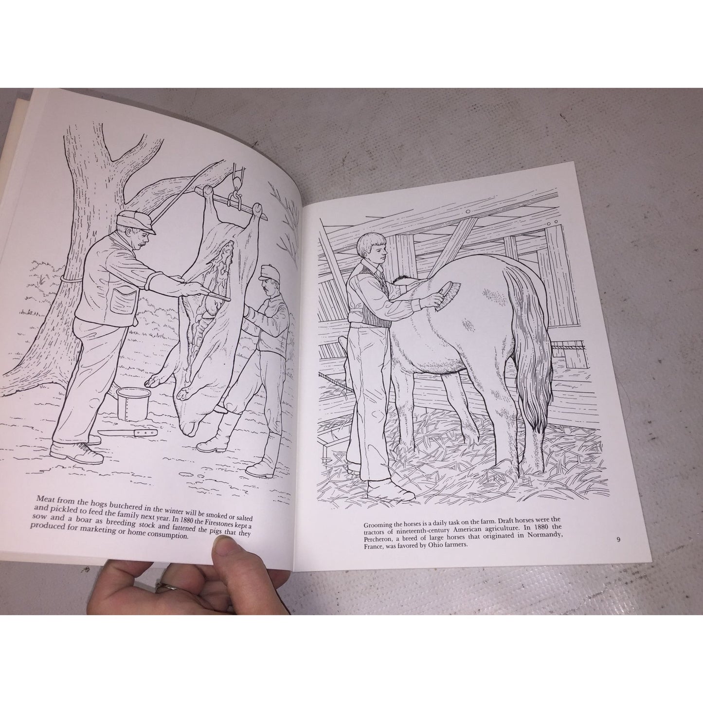 1990 Old-Fashioned Farm Life Coloring Book by Dover Coloring Book