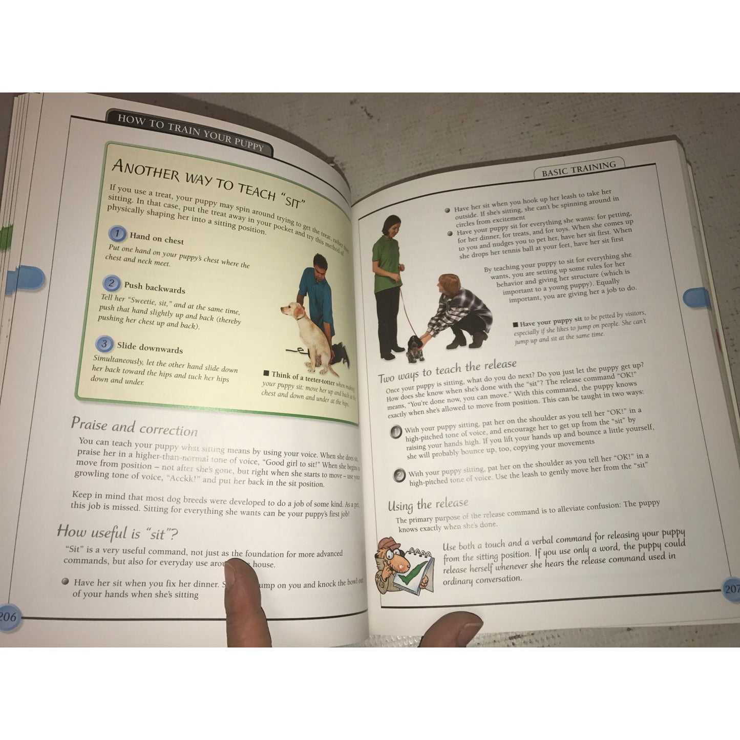 Kiss Guide to Raising a Puppy book by Liz Palika