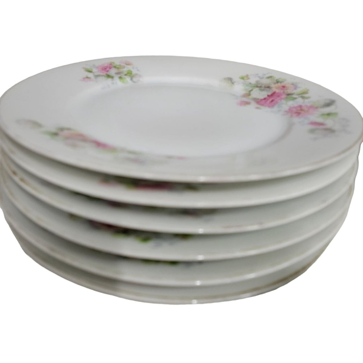 12 Bavaria White Plates with Peony Flowers printed around the border