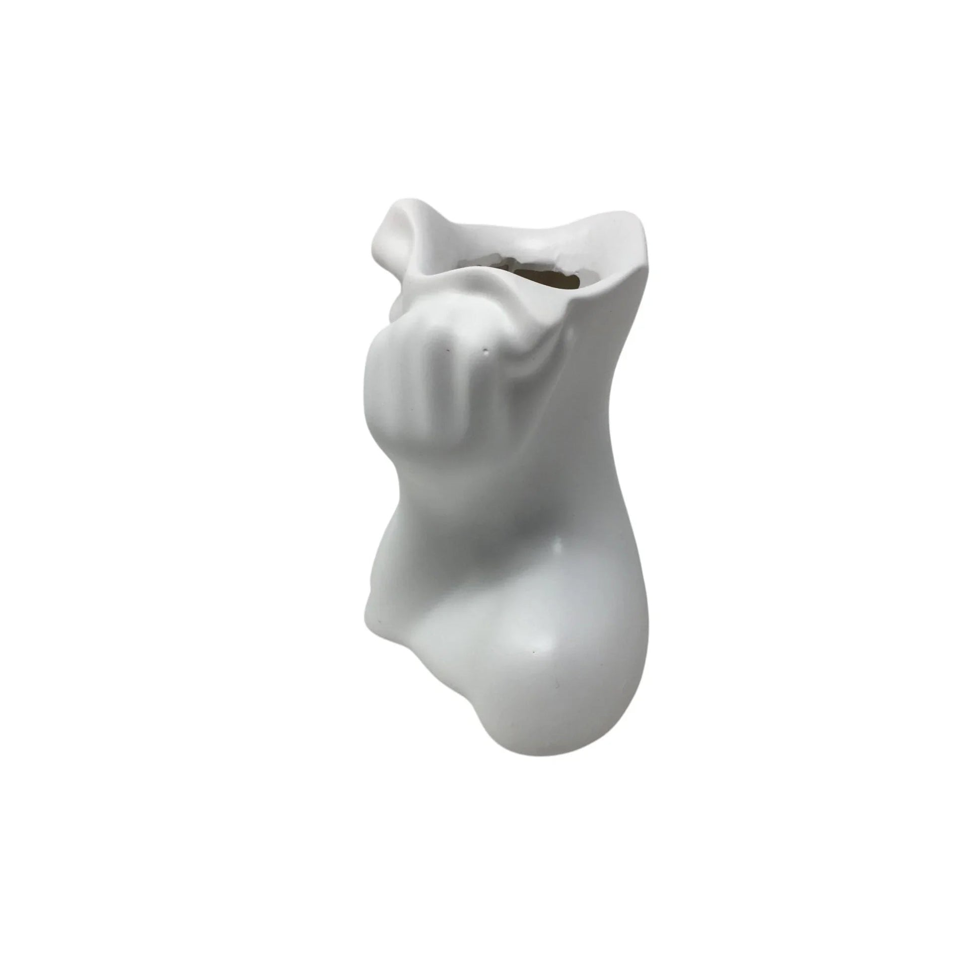 Beautiful White Vase/Planter of a Woman's Face - New - A+ Stuff - Vase or Holder - A+ Stuff