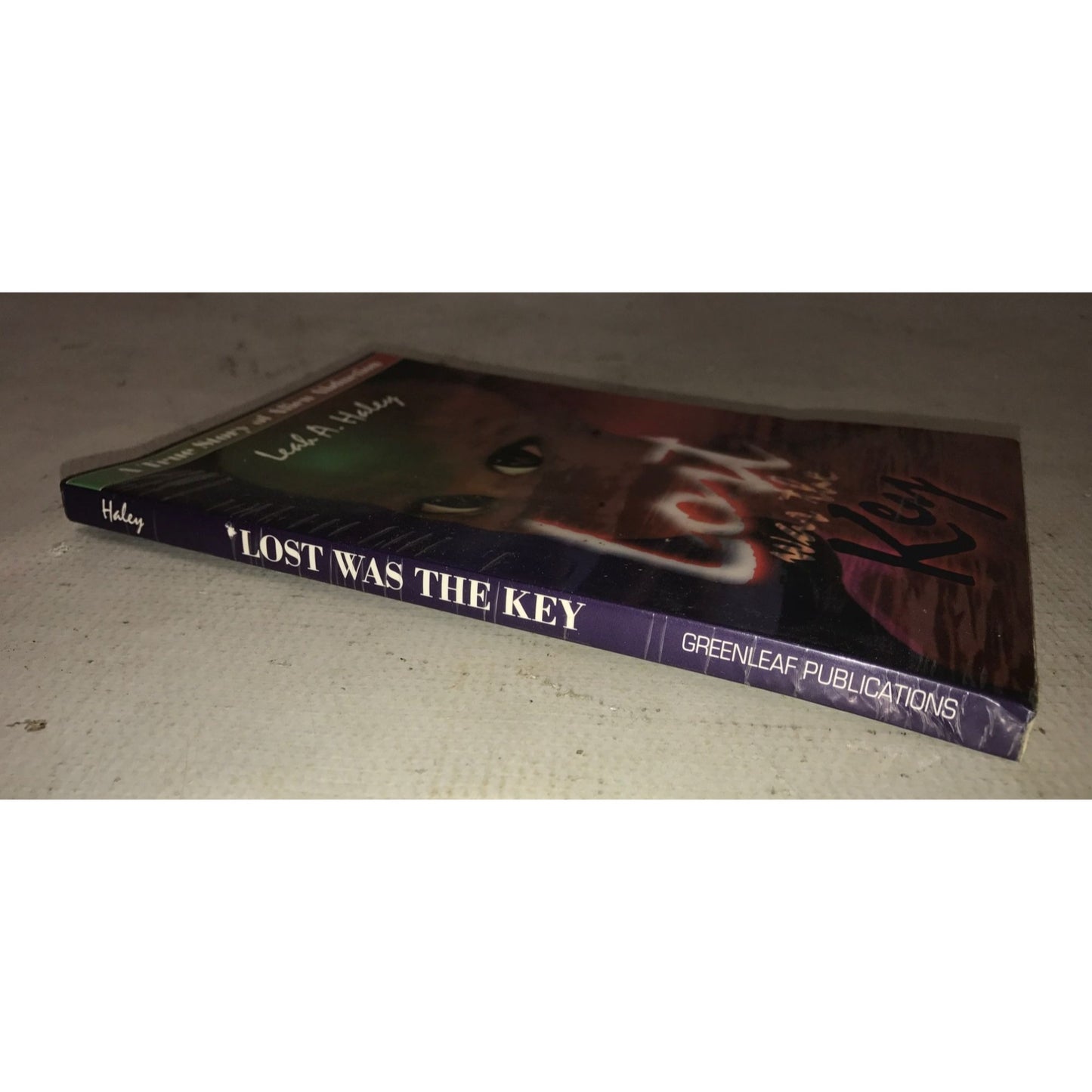 Lost with The Key Book By Leah A Haley - a true story of alien abduction