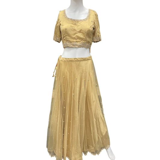 Formal Crop Top and Skirt - Indo Western Set - Embroidery and embellishments on collar, cuffs and skirt