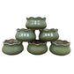 Cute Set of Olive Mini Planters / Flower Pots - Simple Scalloped Edge - Set of 6