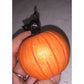 Black Cat Standing on an Orange Pumpkin - Halloween Decor/Figurine