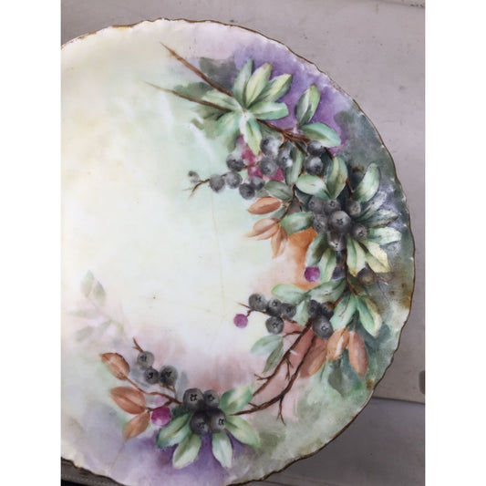 Bavaria 8" Hand Painted Plate with Berries and Flowers on it