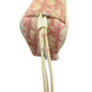 Christian Dior Pink Trotter Monogram 2 Denim Wristlet Pouch - Christian Dior - Wristlet - A+ Stuff