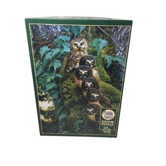 Cobble Hill 1000 Piece Puzzle - A+ Stuff - Games - A+ Stuff