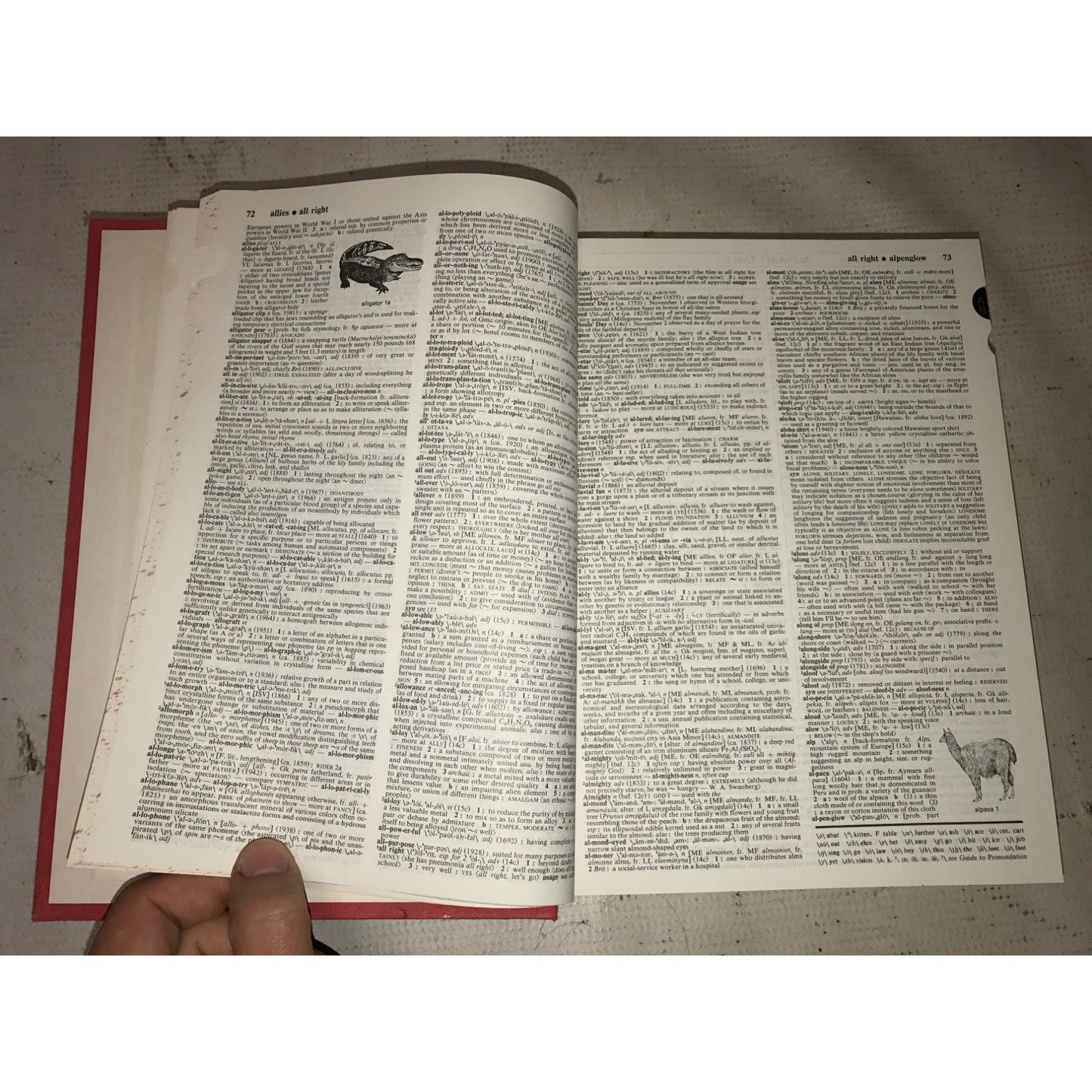 Webster's 9th New Collegiate Hardcover Dictionary Thumb-Indexed