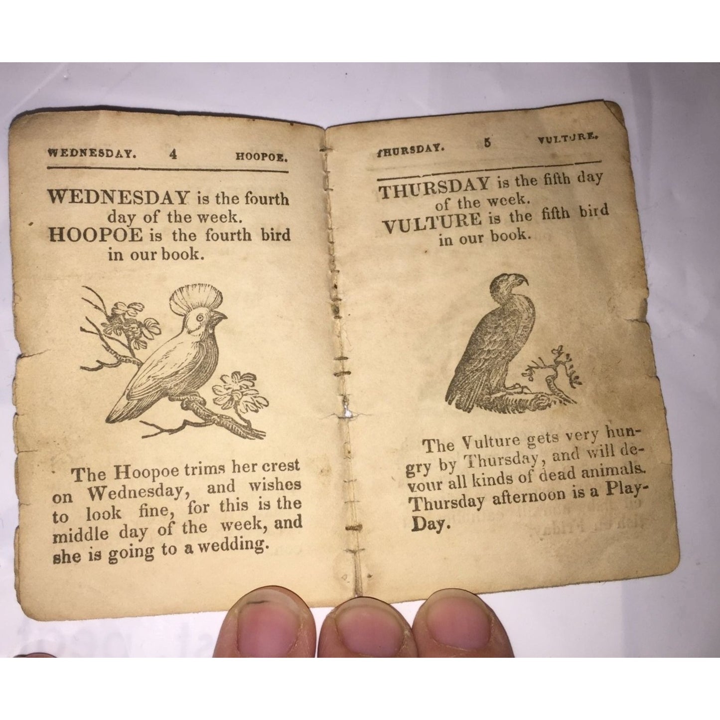 Little Franks Almanack to Show Little Boys and Girls Their Play Days Antique Booklet