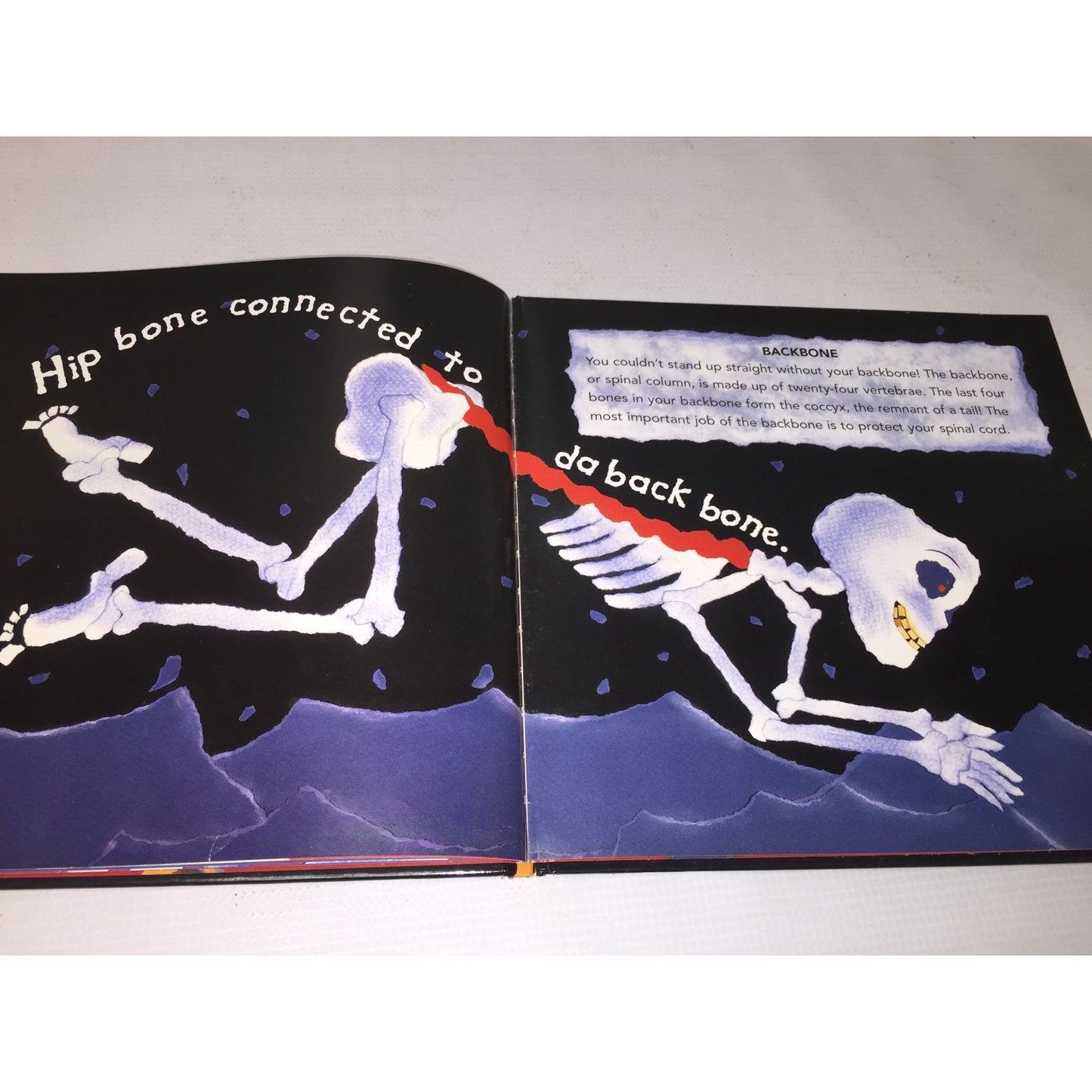 Dem Bones by Bob Barner Childrens Hardcover Book