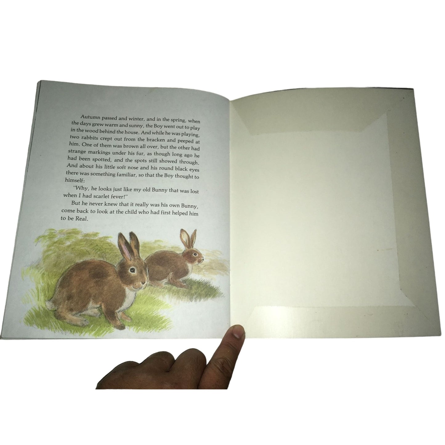 The Velveteen Rabbit By: Margery Williams Book