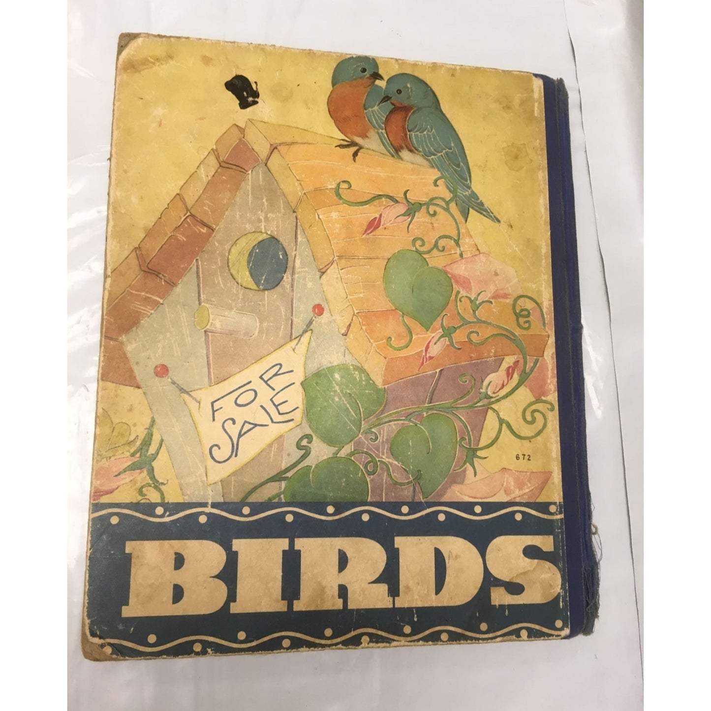 The Bird Book: Observations of Bird Life by Frank North Shankland