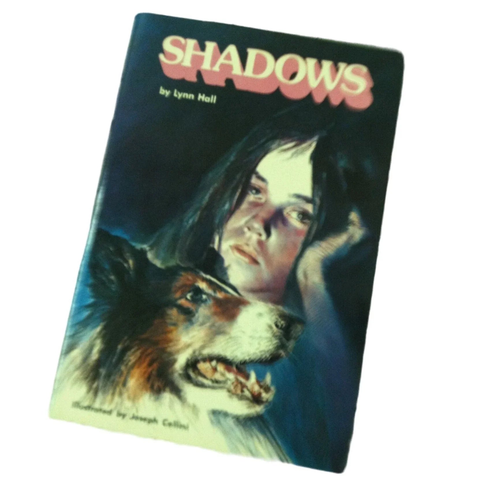 Shadows by Lynn Hall Paperback Book - A+ Stuff