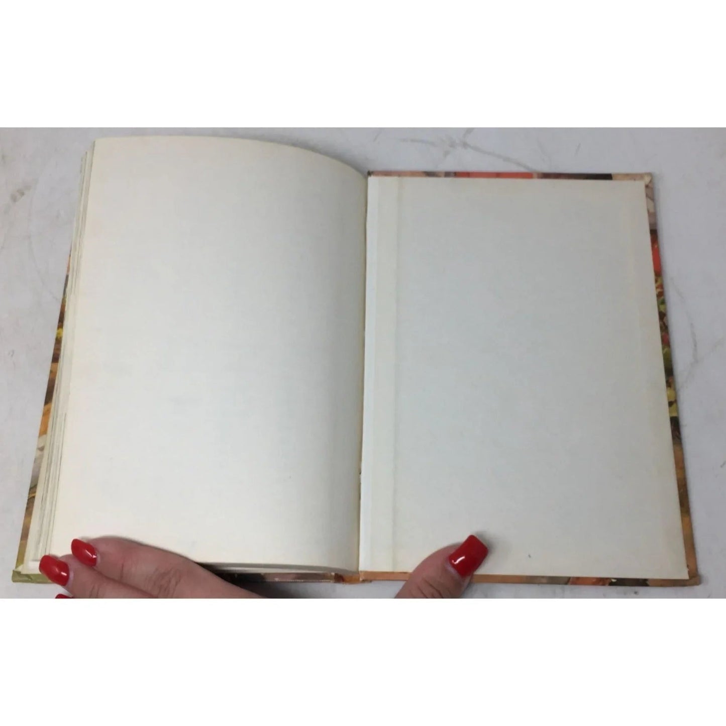 ''Day in and Day out'' The Alice and Jerry Books by Mabel O'Donnell - A+ Stuff - Books - A+ Stuff