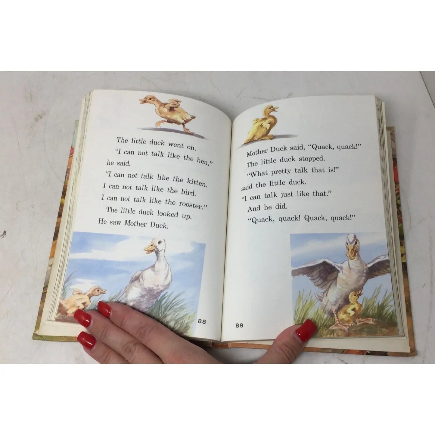 ''Day in and Day out'' The Alice and Jerry Books by Mabel O'Donnell - A+ Stuff - Books - A+ Stuff