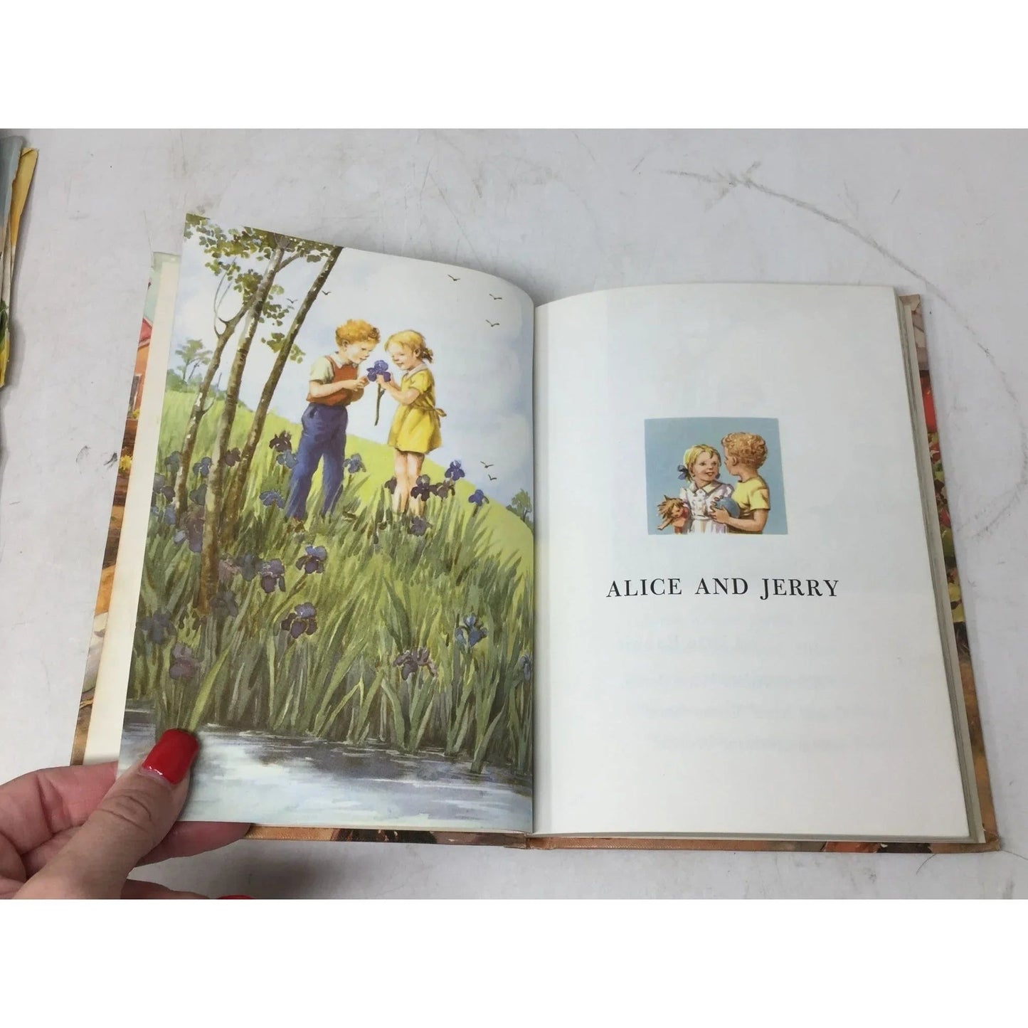 ''Day in and Day out'' The Alice and Jerry Books by Mabel O'Donnell - A+ Stuff - Books - A+ Stuff