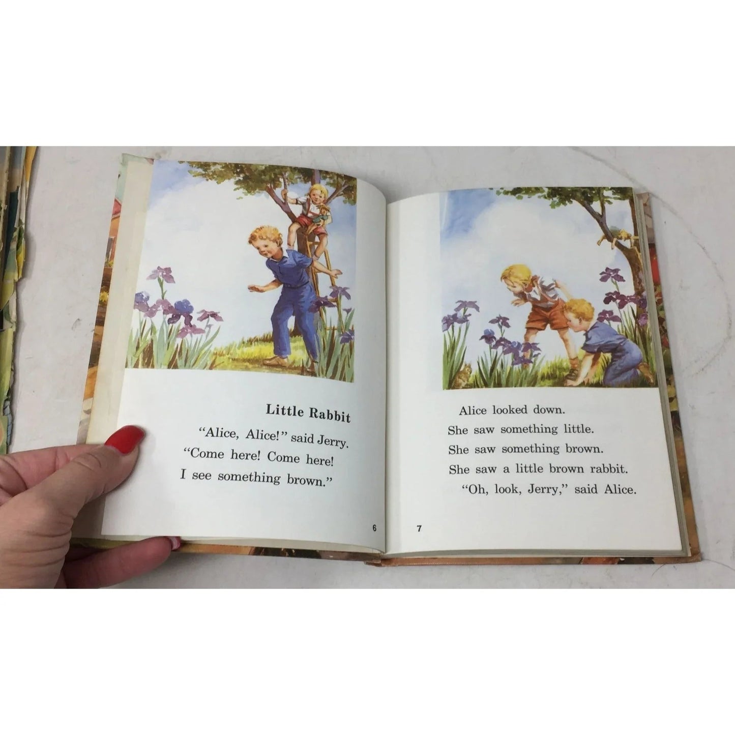 ''Day in and Day out'' The Alice and Jerry Books by Mabel O'Donnell - A+ Stuff - Books - A+ Stuff