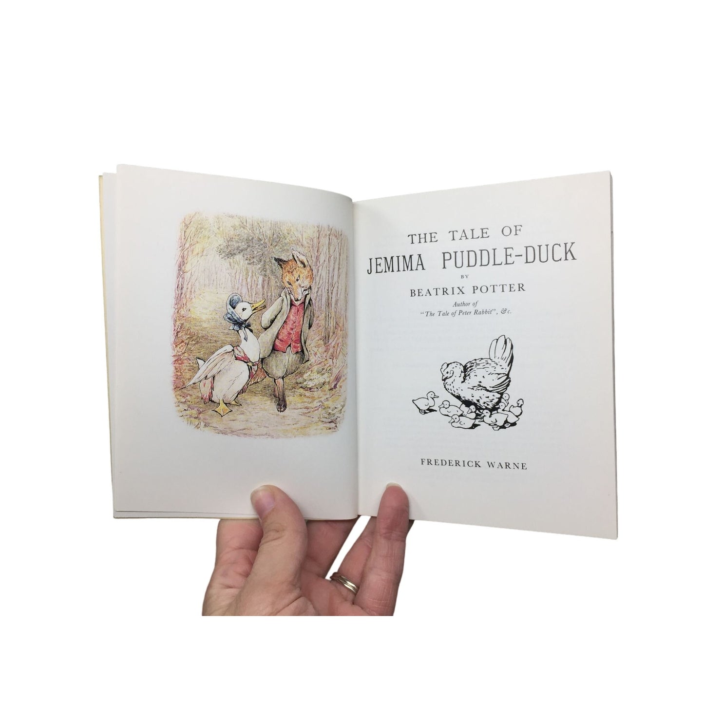 Beatrix Potter Cookie & Craft Mold/The Tale of Jemma Puddle Duck book